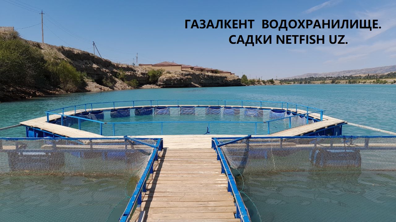 Gözenekleri öndürmek